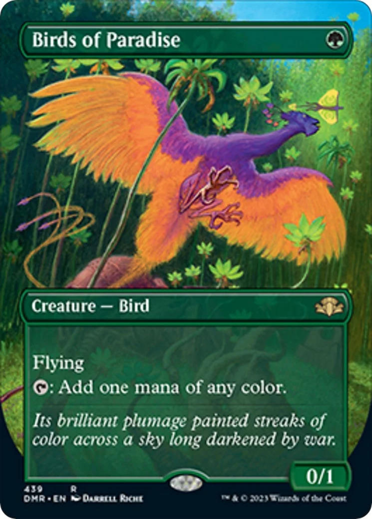 Birds of Paradise (Borderless) (439)