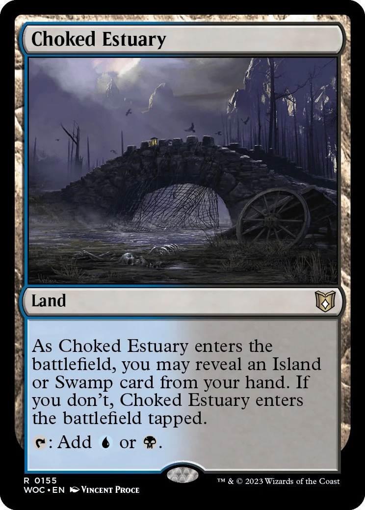 Choked Estuary (155)