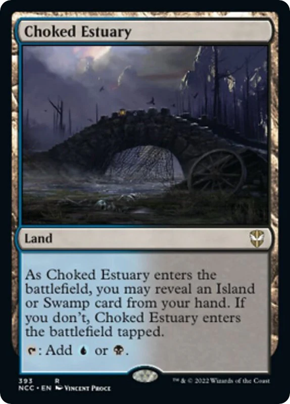 Choked Estuary (393)