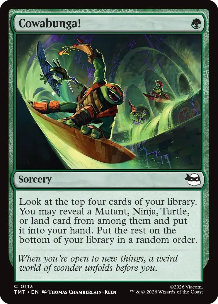 Cowabunga! (113) (Teenage Mutant Ninja Turtles)