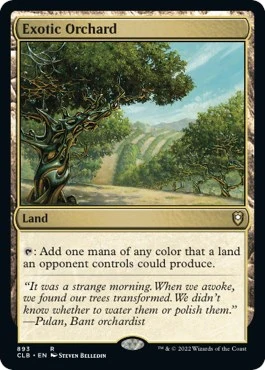 Exotic Orchard (893)