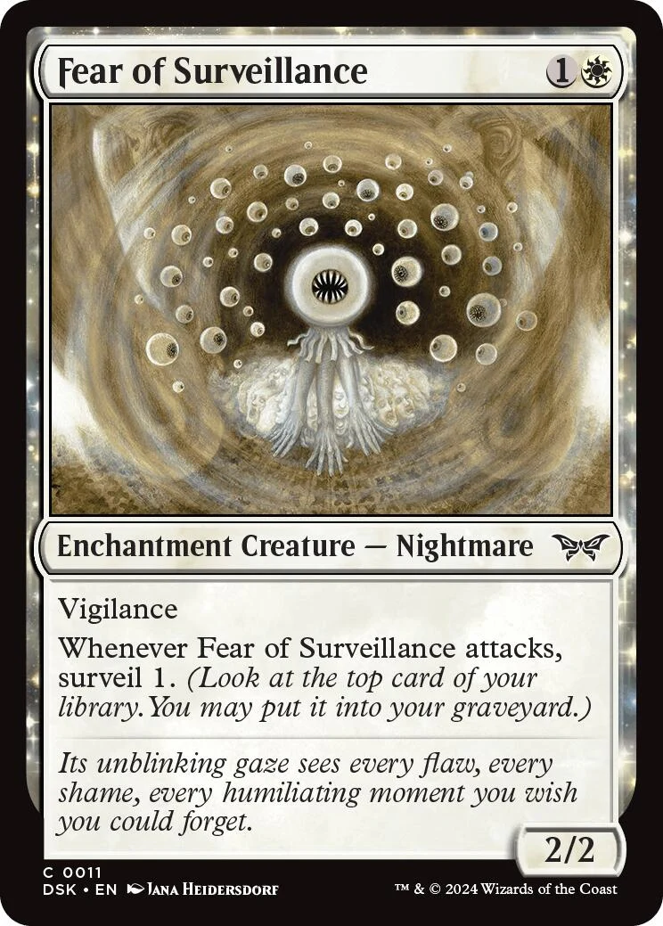Fear of Surveillance (11)