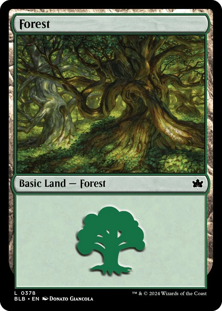 Forest (0378) (378)