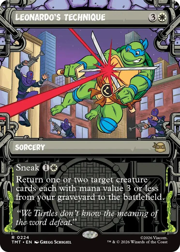 Leonardo's Technique (Showcase) (224) (Teenage Mutant Ninja Turtles)