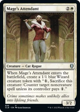 Mage's Attendant (698)