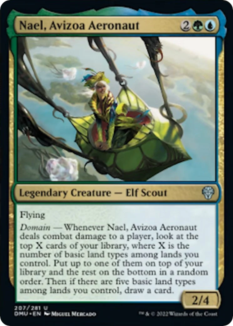 Nael, Avizoa Aeronaut (207)