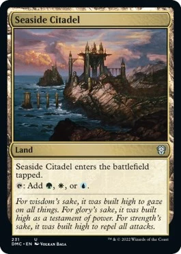 Seaside Citadel (231)