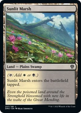 Sunlit Marsh (257)