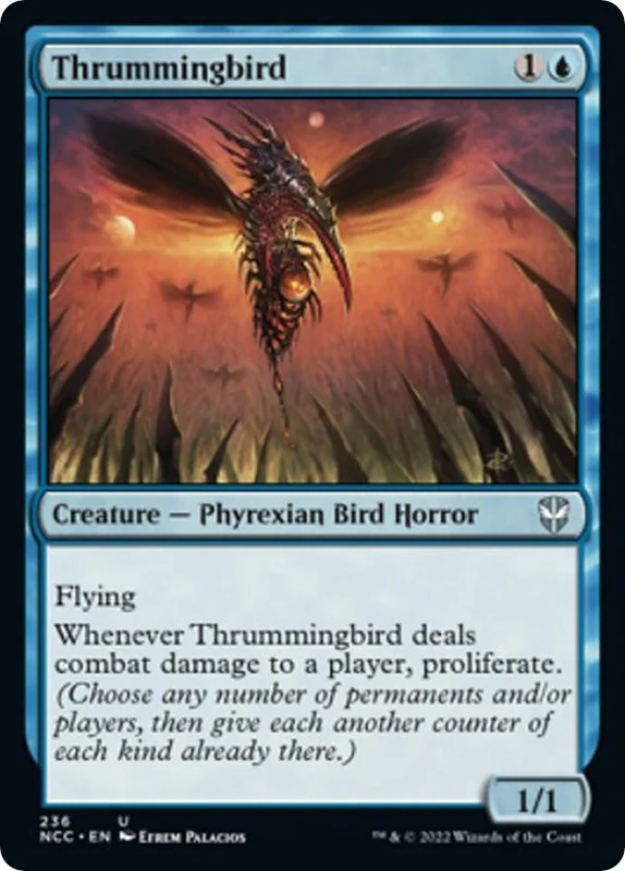 Thrummingbird (236)